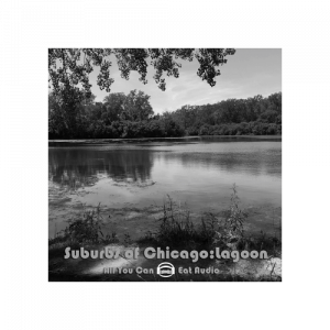 Suburbs of Chicago Lagoon environment Sound Effects Library