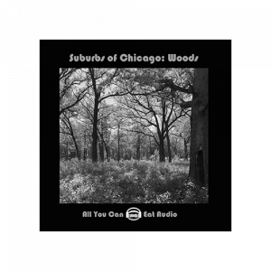 Suburbs of Chicago Woods sound effects ambiences