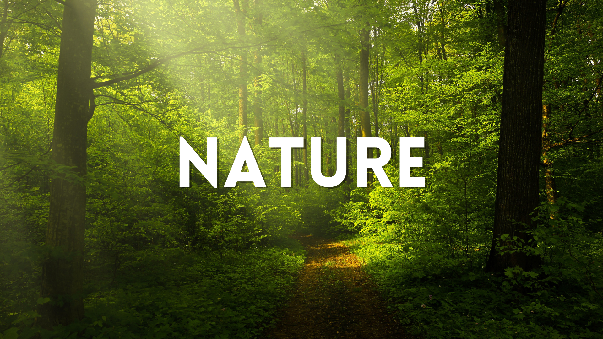 free nature sound effects royalty free