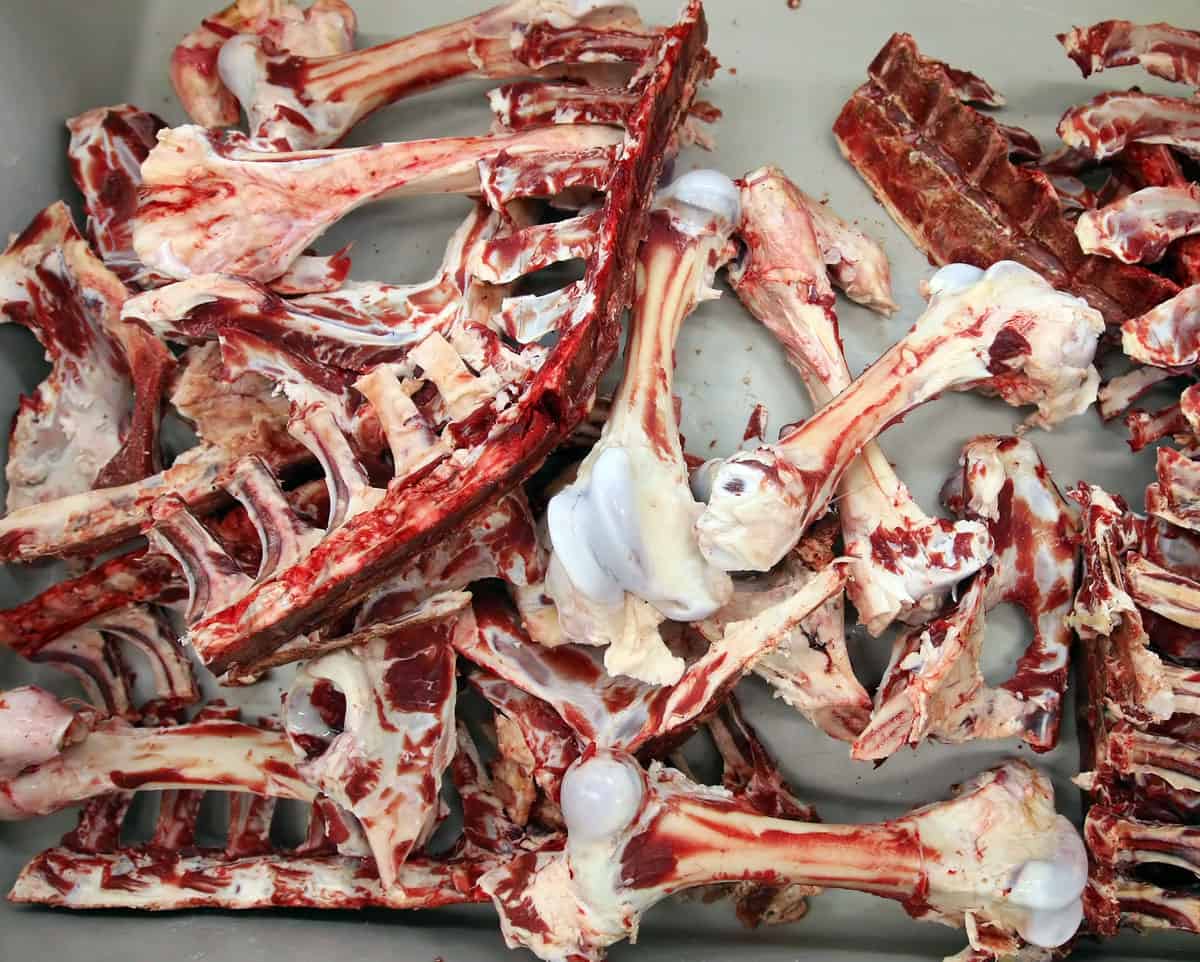 Bones & Blood - Gore Elements - Image 8